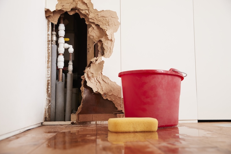 Expertise humidité dans le Vaucluse